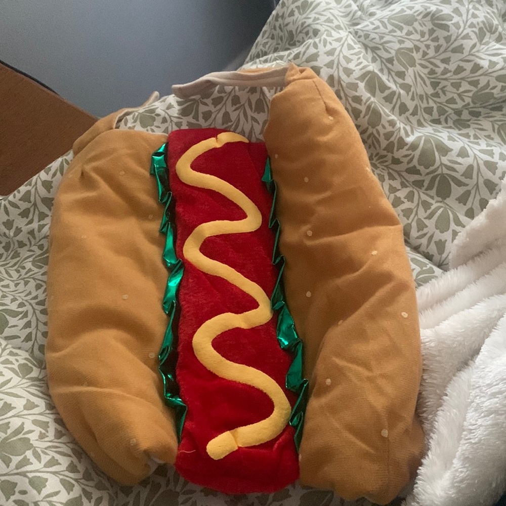 Hotdog Costume for Dogs